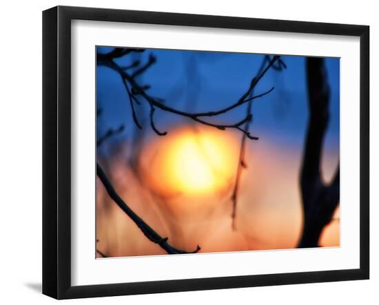 Photo, , large