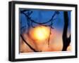 Black Frame