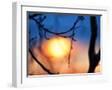White Frame