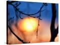 Stretched Canvas