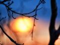 Just the Print