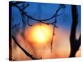 Stretched Canvas