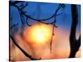Stretched Canvas