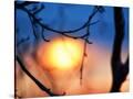 Stretched Canvas
