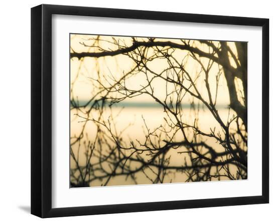 Photo, , large