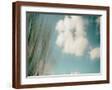 Brown Frame