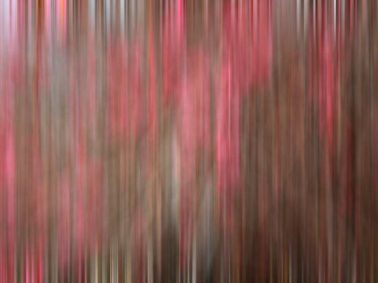 Photo, , large