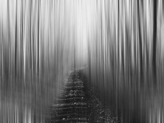 Photo, , large
