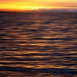 Aspen Sunset-Savanah Plank-Photo