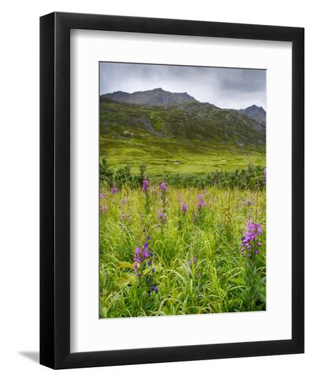 Premium Photographic Print, , large