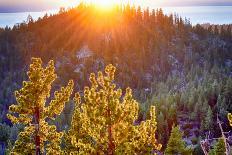 Washington State, Crystal Mountain Area. Winter Snow-Savanah Stewart-Photographic Print