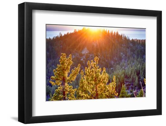 Premium Photographic Print, , large