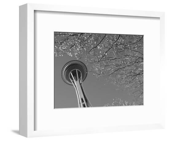 Framed Photographic Print, , large