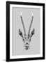 Savane Antelope - Noir-Emilie Ramon-Framed Giclee Print