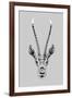 Savane Antelope - Noir-Emilie Ramon-Framed Giclee Print