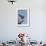 Savanna Hawk Perched-MaryAnn McDonald-Framed Photographic Print displayed on a wall