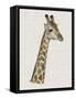 Savanna Impressions II-Naomi McCavitt-Framed Stretched Canvas