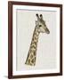 Savanna Impressions II-Naomi McCavitt-Framed Art Print