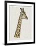 Savanna Impressions II-Naomi McCavitt-Framed Art Print