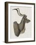 Savanna Impressions IV-Naomi McCavitt-Framed Art Print