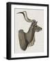 Savanna Impressions IV-Naomi McCavitt-Framed Art Print