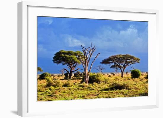 Savanna Landscape and its Flora in Africa, Amboseli, Kenya-Michal Bednarek-Framed Photographic Print