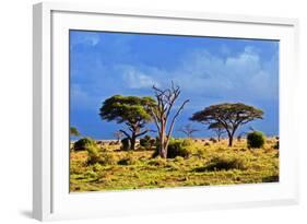 Savanna Landscape and its Flora in Africa, Amboseli, Kenya-Michal Bednarek-Framed Photographic Print