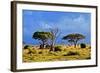 Savanna Landscape and its Flora in Africa, Amboseli, Kenya-Michal Bednarek-Framed Photographic Print