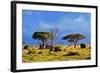 Savanna Landscape and its Flora in Africa, Amboseli, Kenya-Michal Bednarek-Framed Photographic Print