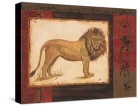 Savanna Lion-Linda Wacaster-Stretched Canvas