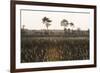 Savanna Rupununi, Guyana-Pete Oxford-Framed Photographic Print