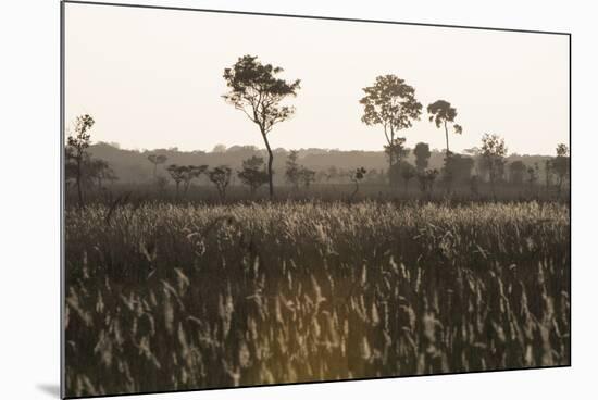 Savanna Rupununi, Guyana-Pete Oxford-Mounted Photographic Print