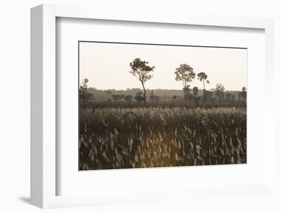 Savanna Rupununi, Guyana-Pete Oxford-Framed Photographic Print