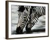 Savanna-Sydney Edmunds-Framed Giclee Print