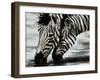 Savanna-Sydney Edmunds-Framed Giclee Print