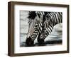 Savanna-Sydney Edmunds-Framed Giclee Print