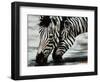 Savanna-Sydney Edmunds-Framed Giclee Print