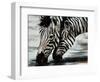 Savanna-Sydney Edmunds-Framed Giclee Print