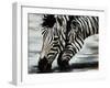 Savanna-Sydney Edmunds-Framed Giclee Print