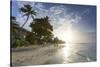 Savannah Beach, Savannah, Bridgetown, Christ Church, Barbados, West Indies, Caribbean, Central Amer-Frank Fell-Stretched Canvas