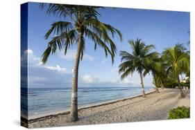 Savannah Beach, Savannah, Bridgetown, Christ Church, Barbados, West Indies, Caribbean, Central Amer-Frank Fell-Stretched Canvas