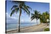 Savannah Beach, Savannah, Bridgetown, Christ Church, Barbados, West Indies, Caribbean, Central Amer-Frank Fell-Stretched Canvas