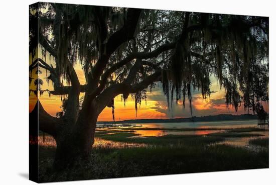 Savannah Evening-Natalie Mikaels-Stretched Canvas