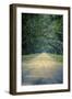 Savannah, Georgia: a Dirt Road Lined with a Canopy of Oak Trees at the Wormsloe Estate-Brad Beck-Framed Photographic Print