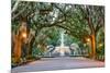 Savannah, Georgia, USA at Forsyth Park Fountain.-SeanPavonePhoto-Mounted Premium Photographic Print