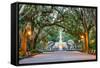 Savannah, Georgia, USA at Forsyth Park Fountain.-SeanPavonePhoto-Framed Stretched Canvas