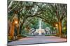 Savannah, Georgia, USA at Forsyth Park Fountain.-SeanPavonePhoto-Mounted Photographic Print