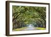 Savannah, Georgia, USA Oak Tree Lined Road at Historic Wormsloe Plantation.-SeanPavonePhoto-Framed Photographic Print