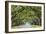 Savannah, Georgia, USA Oak Tree Lined Road at Historic Wormsloe Plantation.-SeanPavonePhoto-Framed Photographic Print