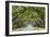 Savannah, Georgia, USA Oak Tree Lined Road at Historic Wormsloe Plantation.-SeanPavonePhoto-Framed Photographic Print